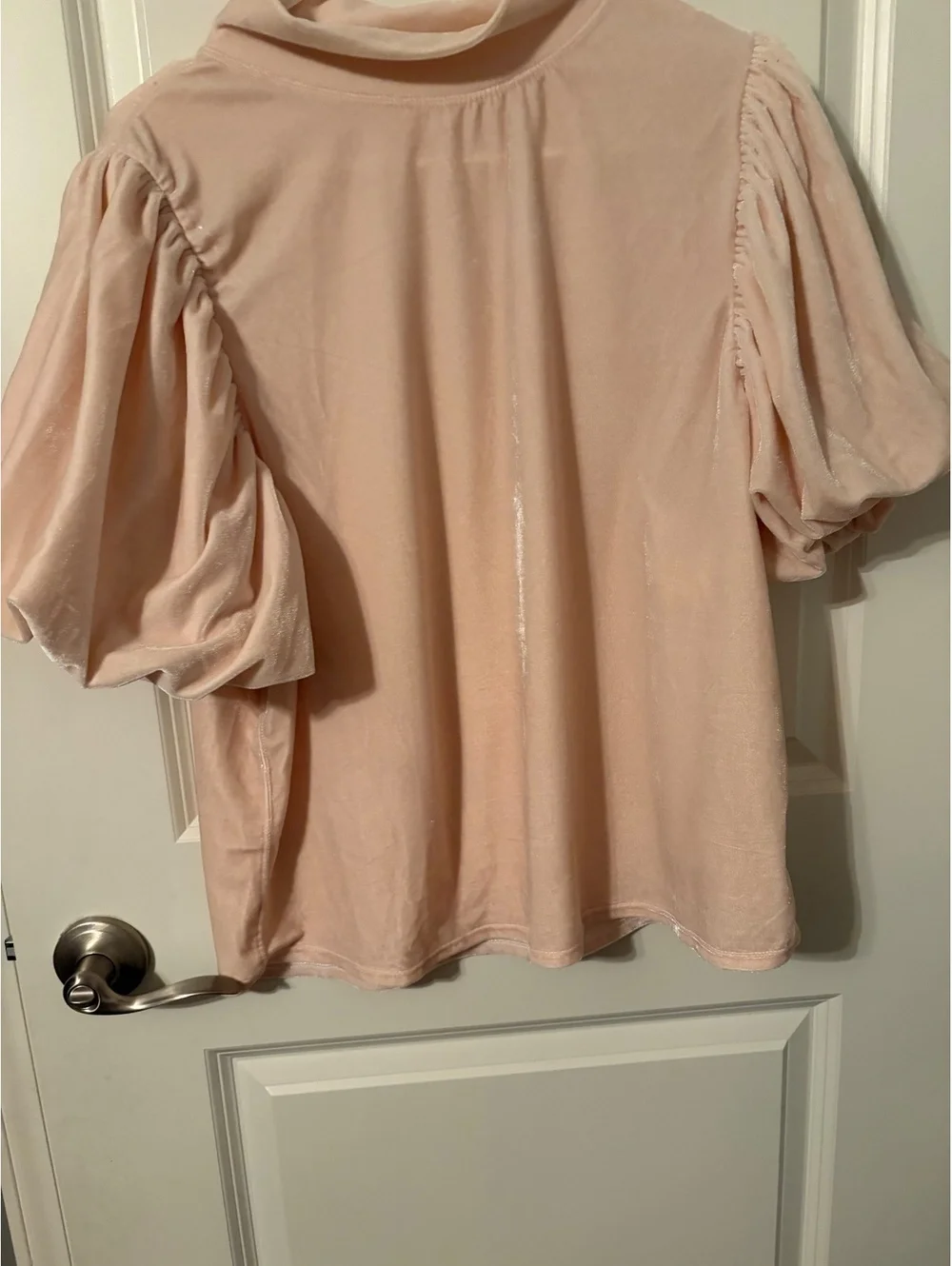 Free People XL Pink Velvet Puff Sleeve Top